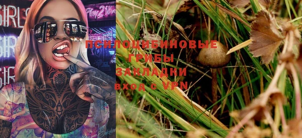 марки lsd Гусев