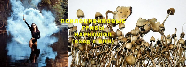 прущая мука Гусиноозёрск