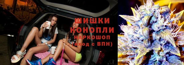 PSILOCYBIN Гусь-Хрустальный
